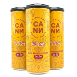 Cann Blood Orange Cardamom Hi Boy 5mg THC+10mg CBD