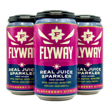 Flyway THC Seltzer - Blackberry Citrus